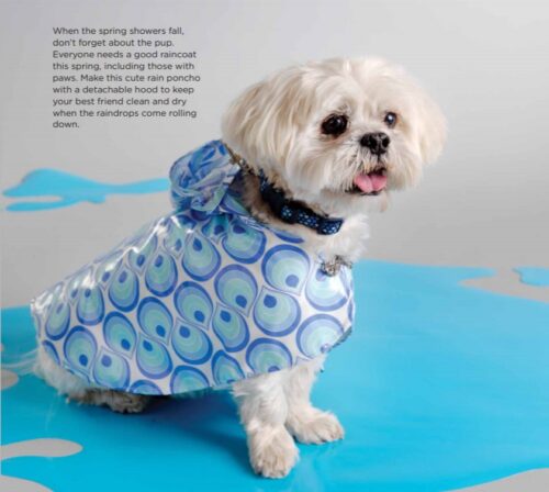 طراحی الگوي لباس سگ